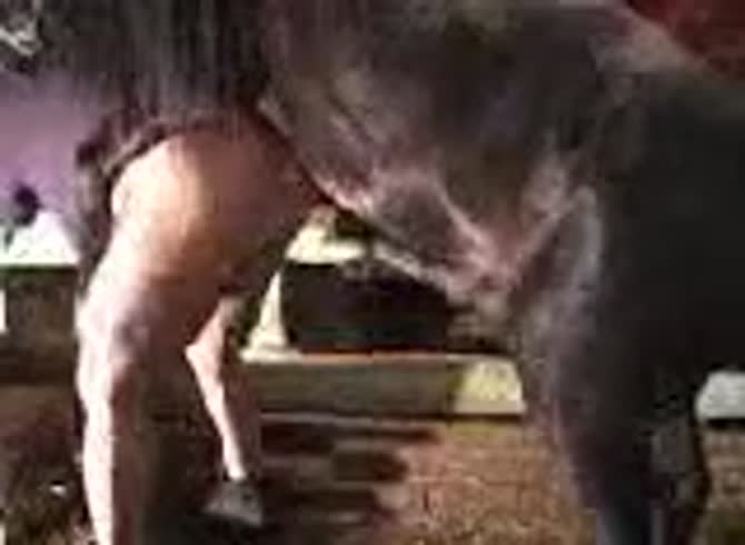 Video :Gay and horse anal sex in the farm resulting in orgasm